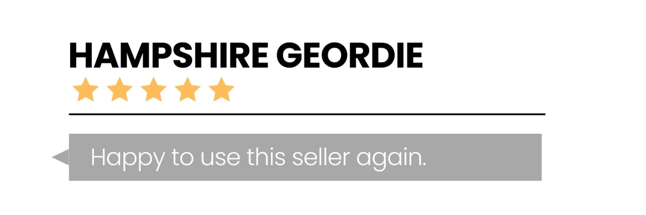 WhatsApp Image 2024-03-01 at 8.01.24 PM