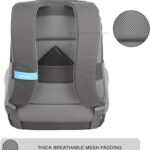 71bSl5oZXIL._AC_SX425_