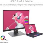 ASUS ProArt Display PA248QV UK